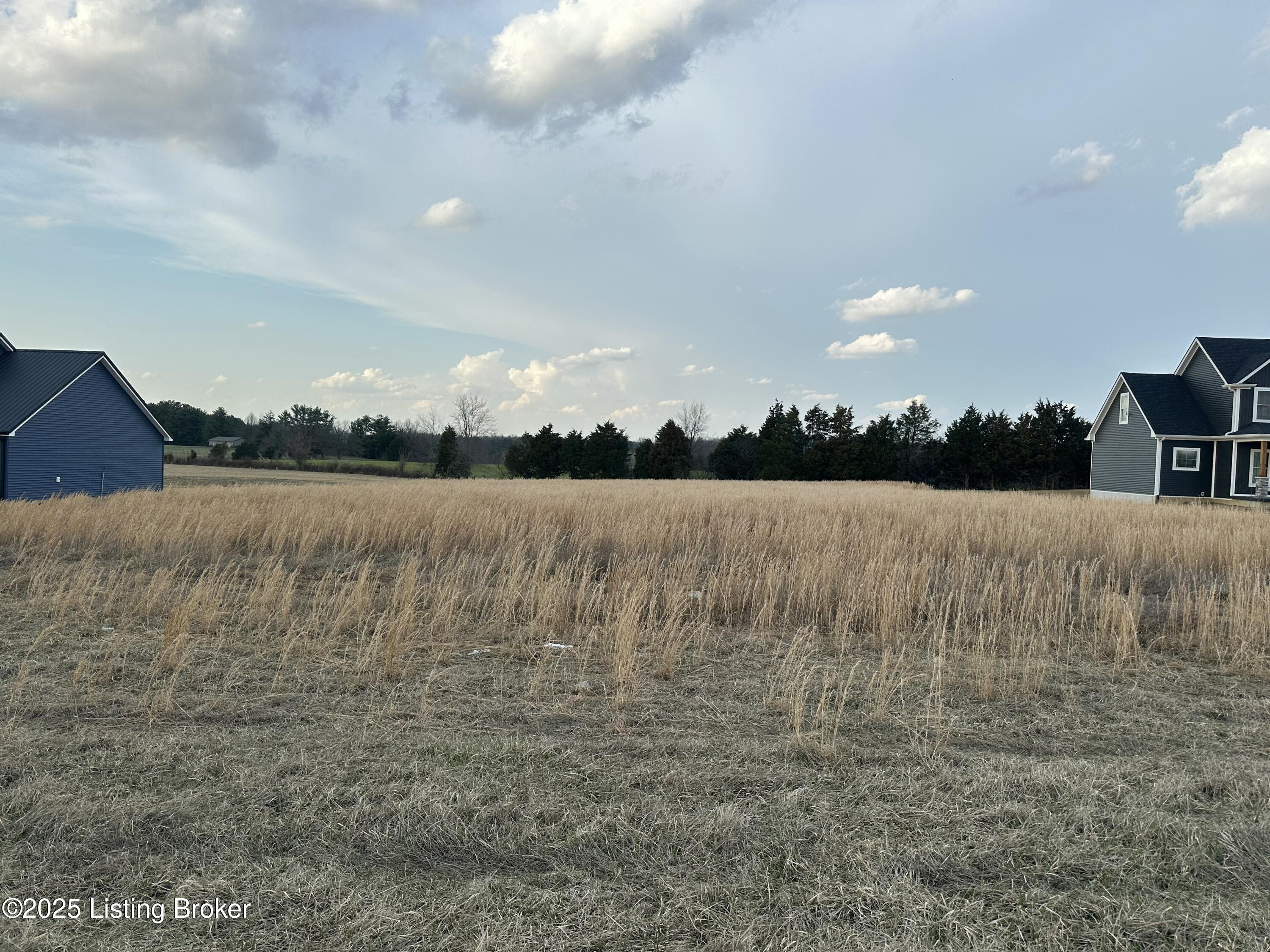 5982 Campbellsville Rd, Hodgenville, Kentucky image 3