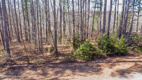 Vacant Land For Sale - 11 Marina Point Ln<br/> Grayson County, Falls Of Rough, KY 40119