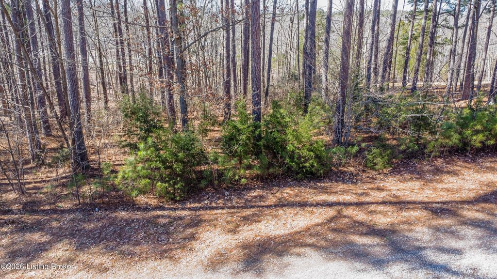 Photo of 11 Marina Point Ln, Falls Of Rough, KY 40119 (MLS # 1710420)