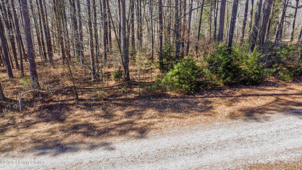 Photo of 11 Marina Point Ln, Falls Of Rough, KY 40119 (MLS # 1710420)