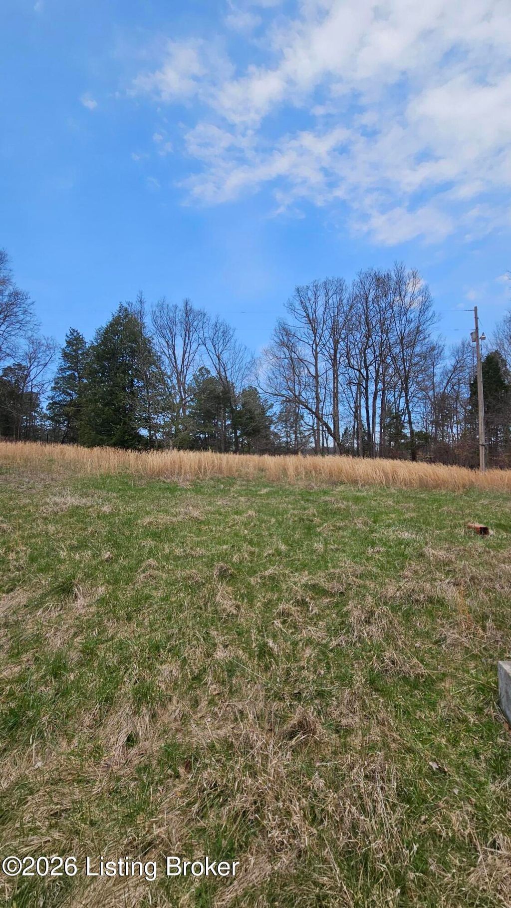 Photo of 7976 W KY-86, Irvington, KY 40146 (MLS # 1712150)