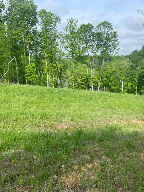MLS: 1685992