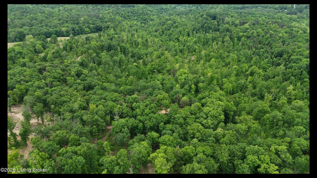 Photo of 89 AC Cub Run Rd, Cub Run, KY 42729 (MLS # 1716969)