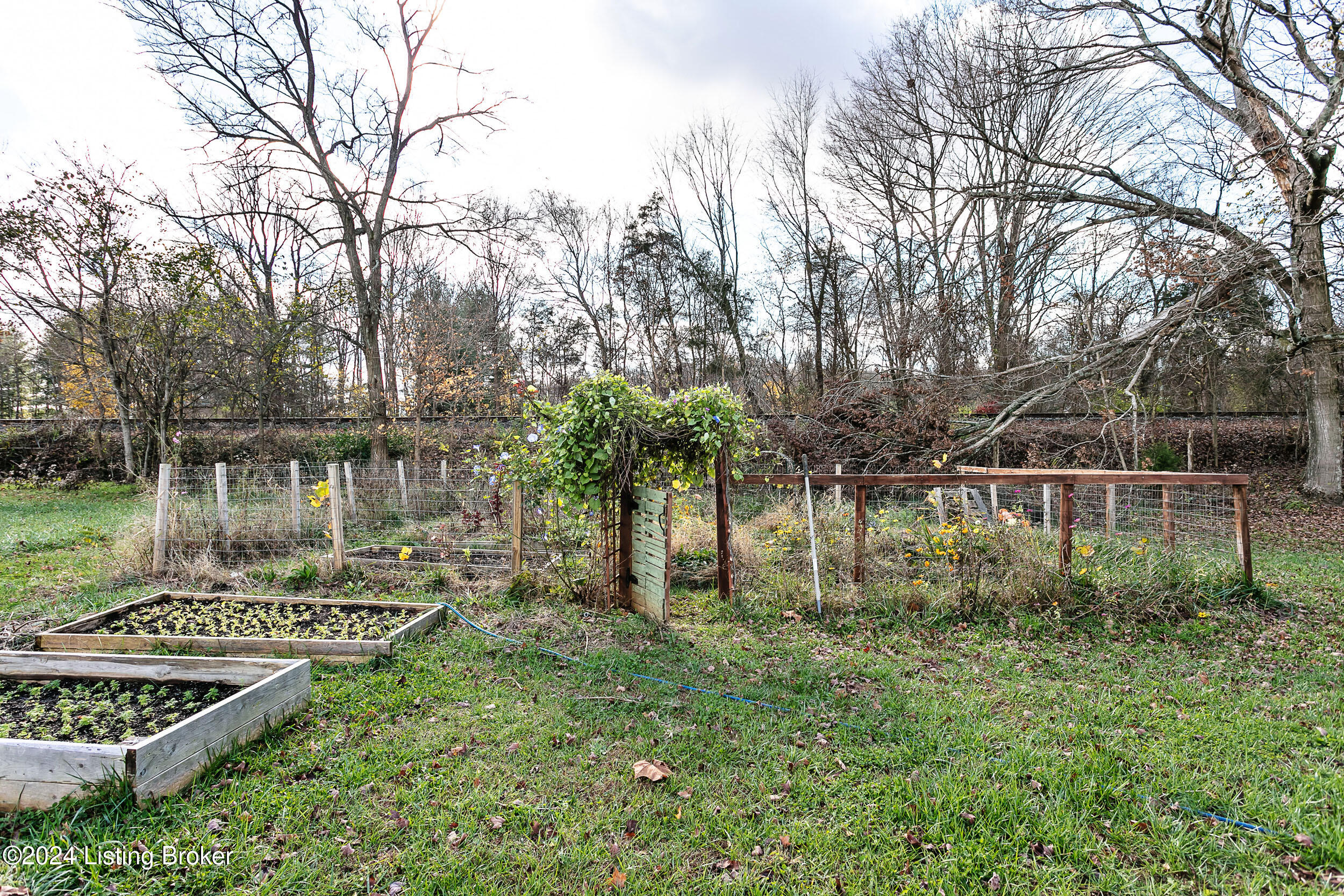 561 Cedar Grove Rd, Coxs Creek, Kentucky image 37