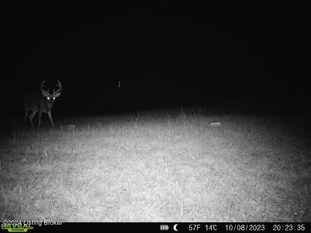 3533 Brush Grove Rd, Willisburg, Kentucky image 38