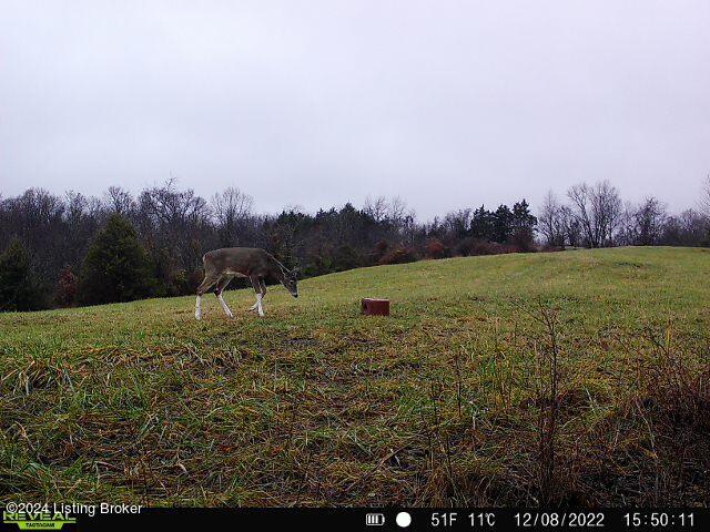 3533 Brush Grove Rd, Willisburg, Kentucky image 48