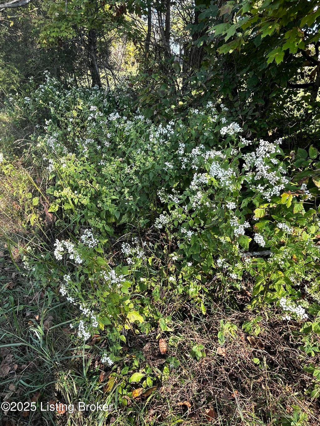 Photo of 4643 #2&amp;3 ZONETON Rd, Shepherdsville, KY 40165 (MLS # 1711285)