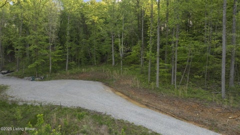 Vacant Land For Sale - 130 Moutardier Bay Ct<br/> Leitchfield, KY 42754
