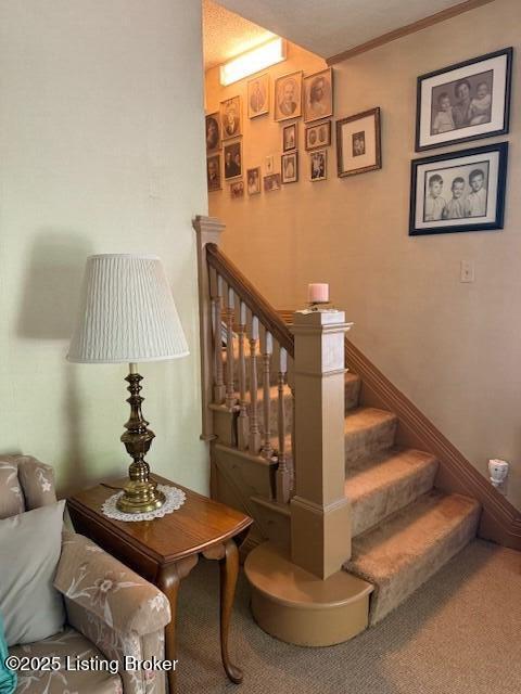 806 Perennial Dr, Louisville, Pennsylvania image 9