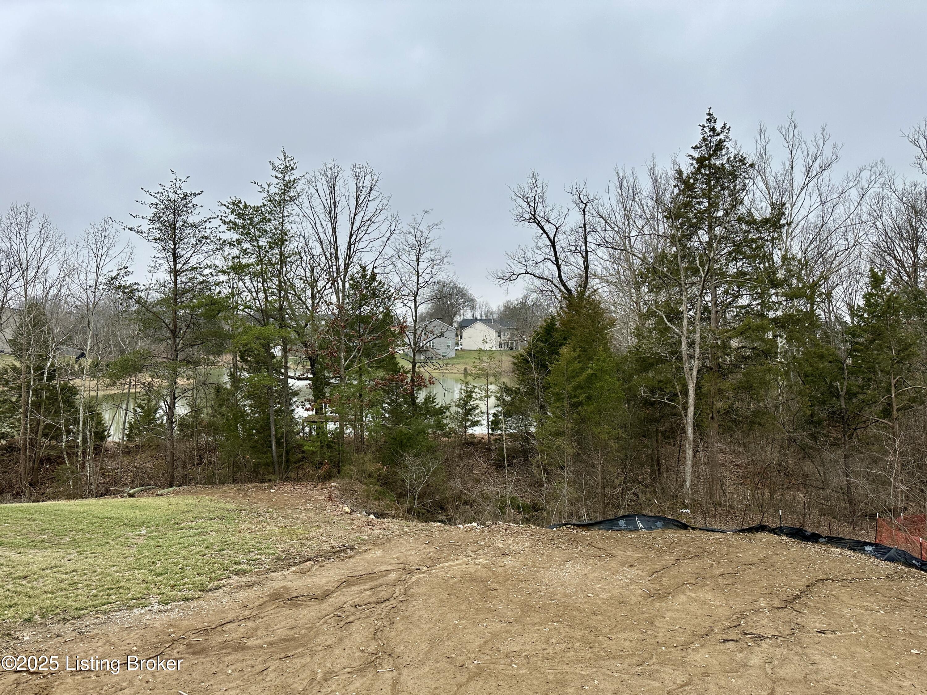 11710 Parkview Point Pt, Louisville, Kentucky image 13