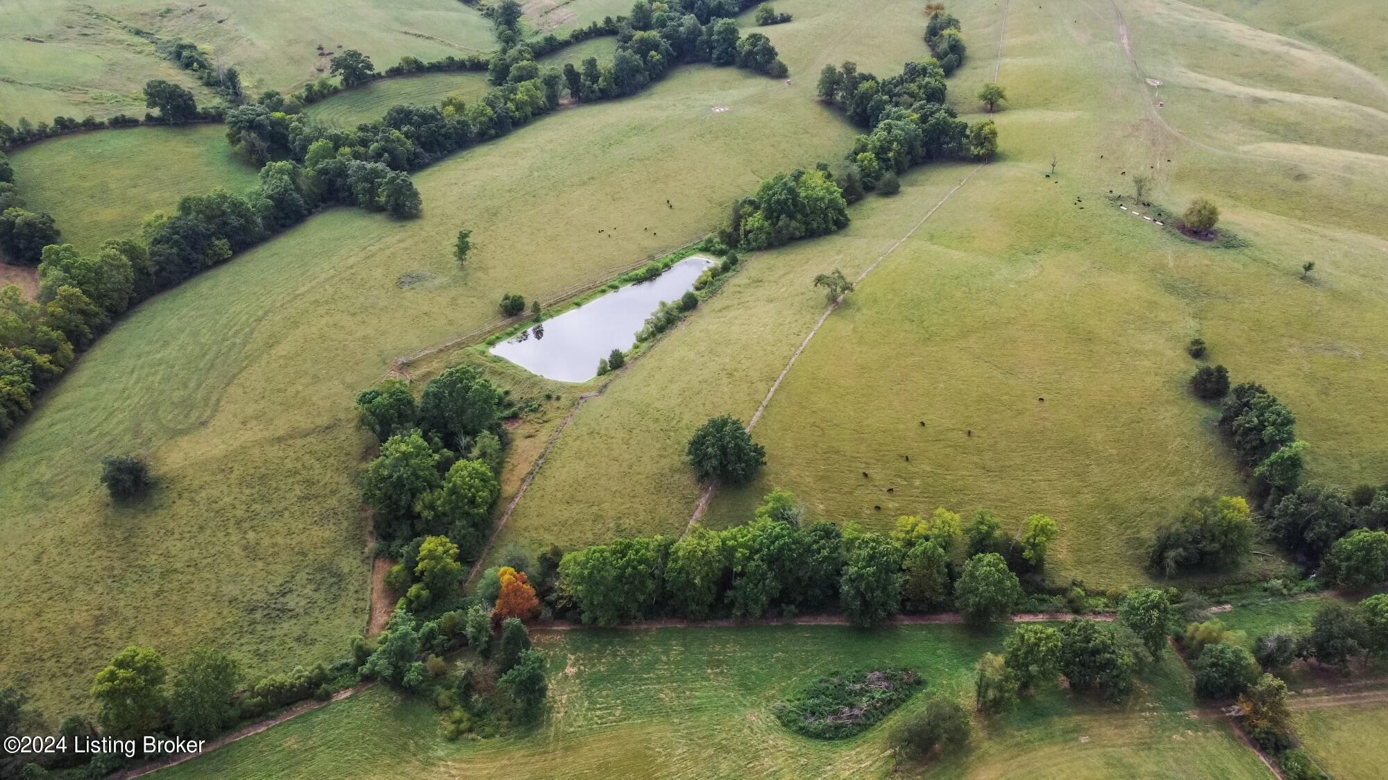 3921 Poplar Plains Rd, Flemingsburg, Kentucky image 6