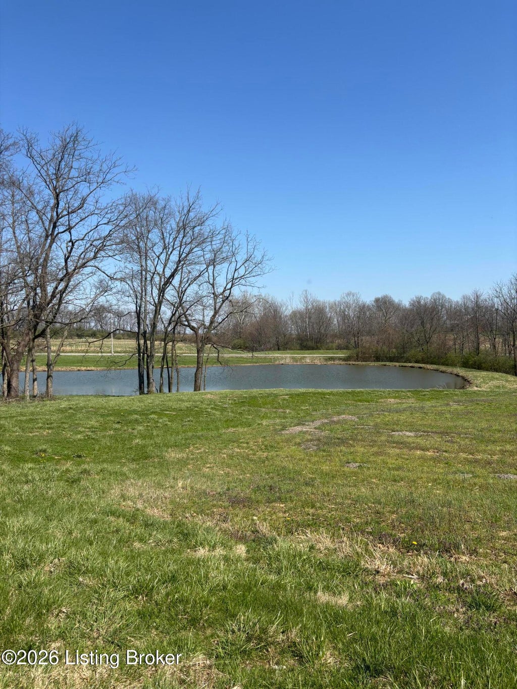 Photo of 1357 Castle Hwy, Eminence, KY 40019 (MLS # 1724359)