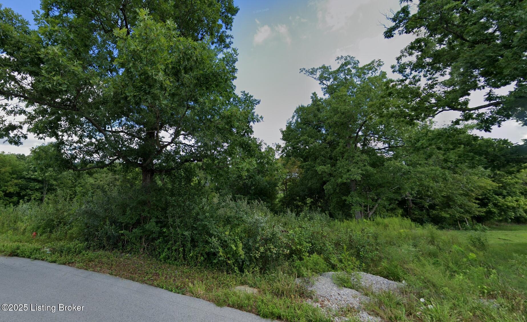 Lashley St, Leitchfield, Kentucky image 5