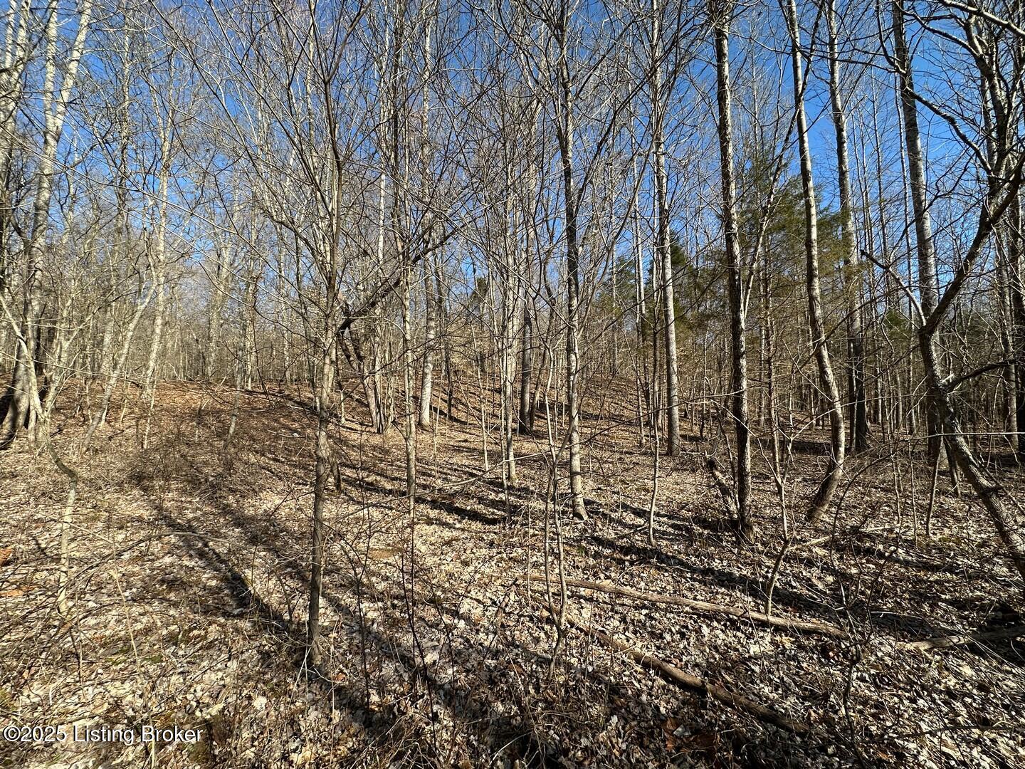Lot 15 Duvall Rd, Caneyville, Pennsylvania image 7