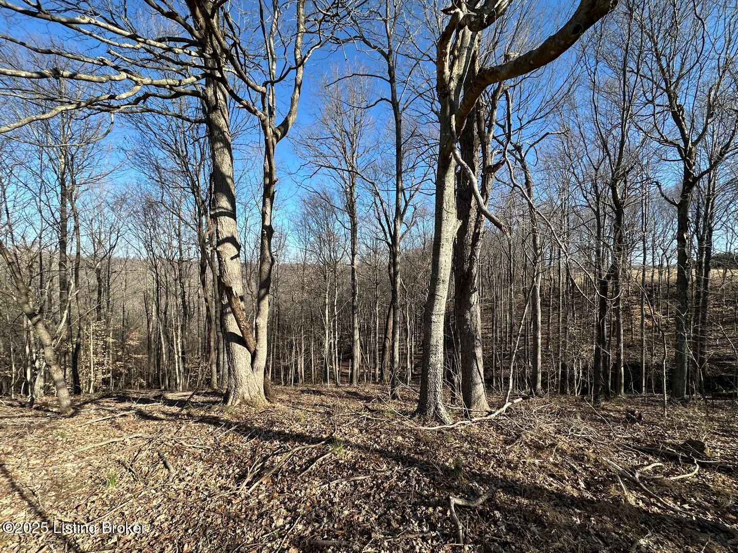 Lot 15 Duvall Rd, Caneyville, Pennsylvania image 5