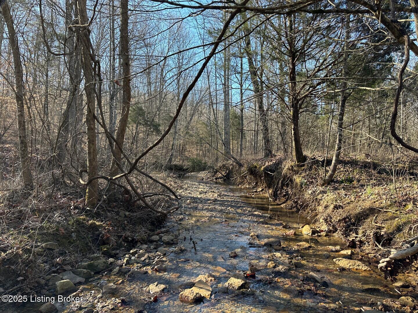 Lot 15 Duvall Rd, Caneyville, Pennsylvania image 1