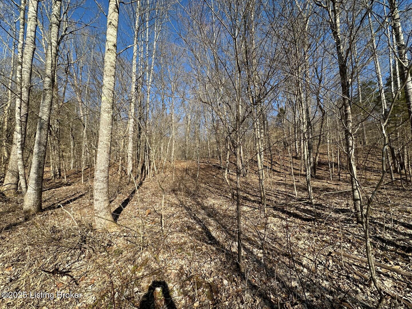 Lot 15 Duvall Rd, Caneyville, Pennsylvania image 8
