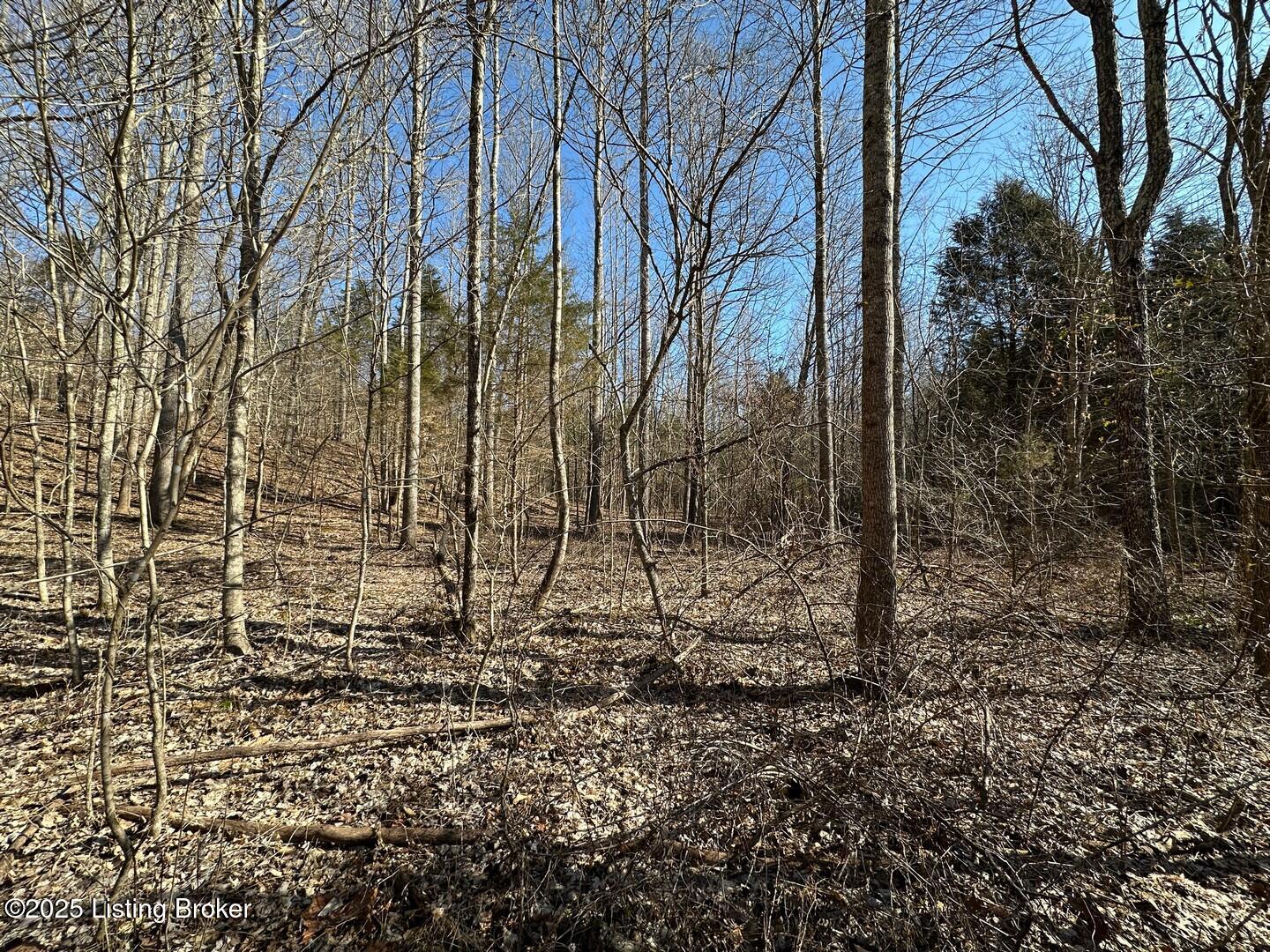 Lot 15 Duvall Rd, Caneyville, Pennsylvania image 6