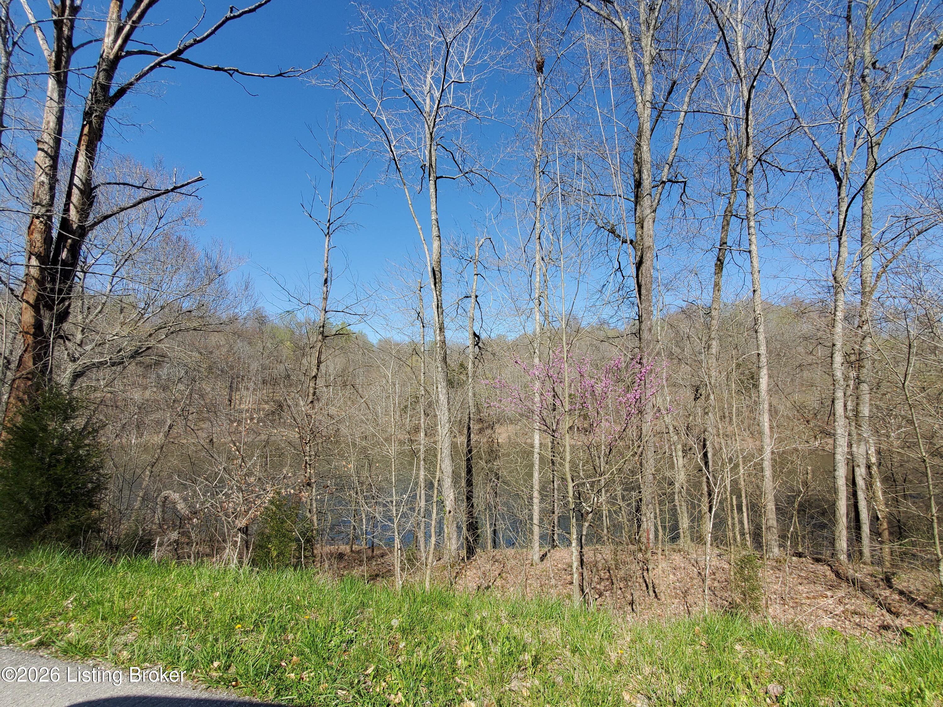 00 Patriot Shores Ln
