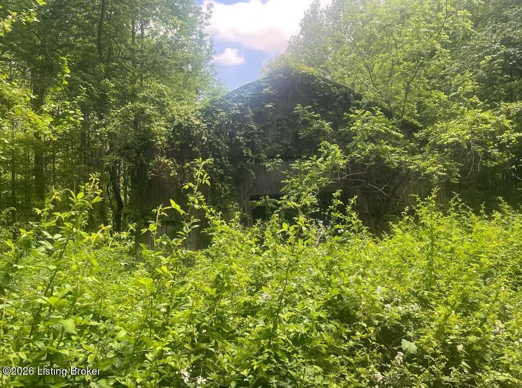 Photo of 449 Doug Thompson Rd, Lebanon, KY 40033 (MLS # 1717115)