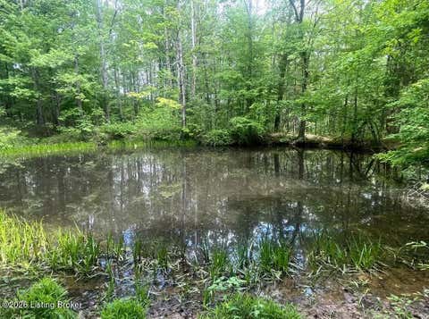 Vacant Land For Sale - 449 Doug Thompson Rd<br/> Lebanon, KY 40033