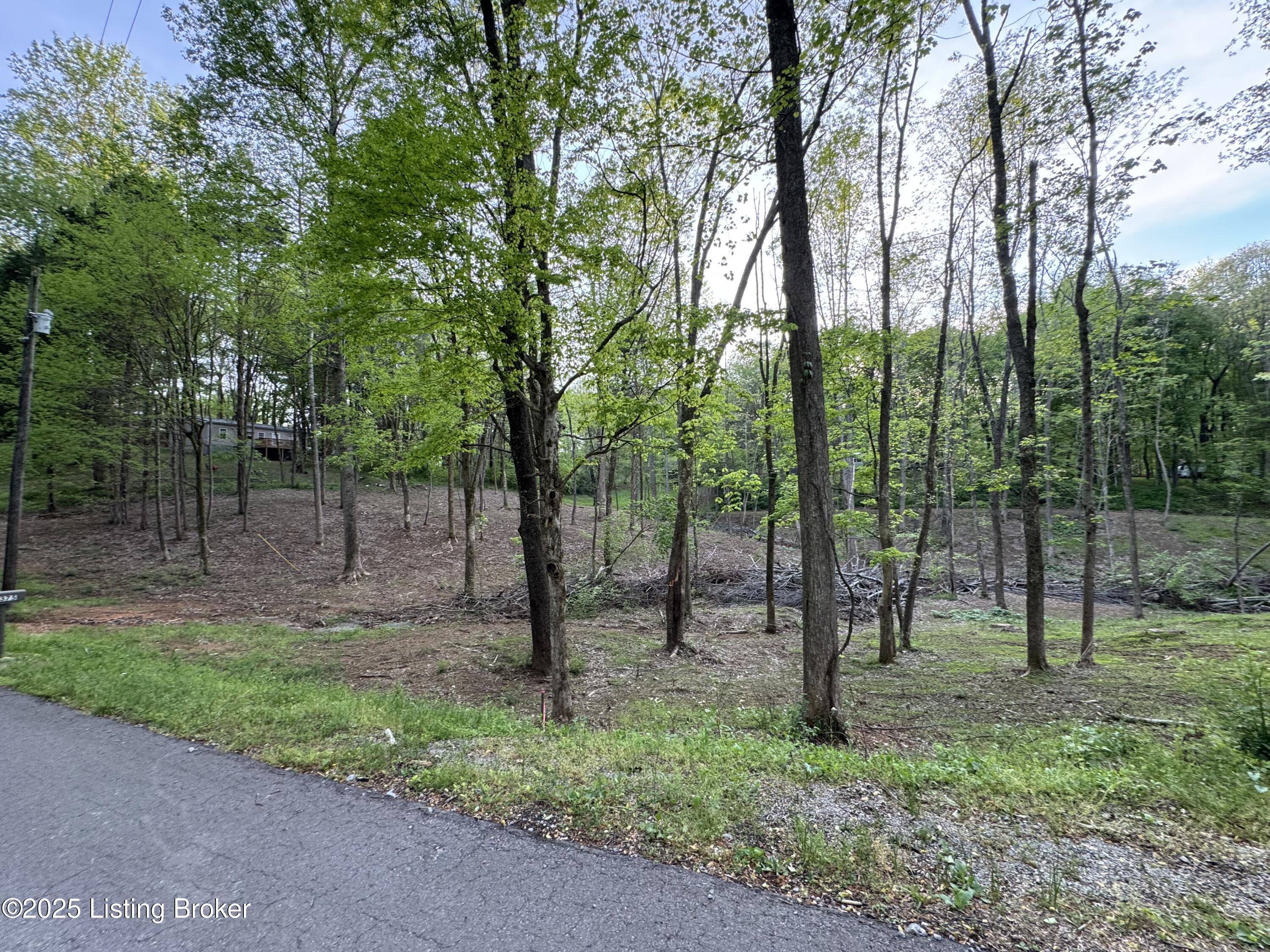 Lot 44A Walleye Way, Scottsville, Kentucky image 1