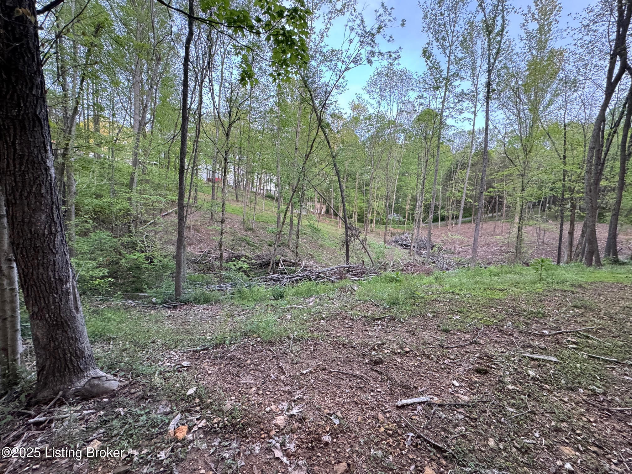 Lot 44A Walleye Way, Scottsville, Kentucky image 9