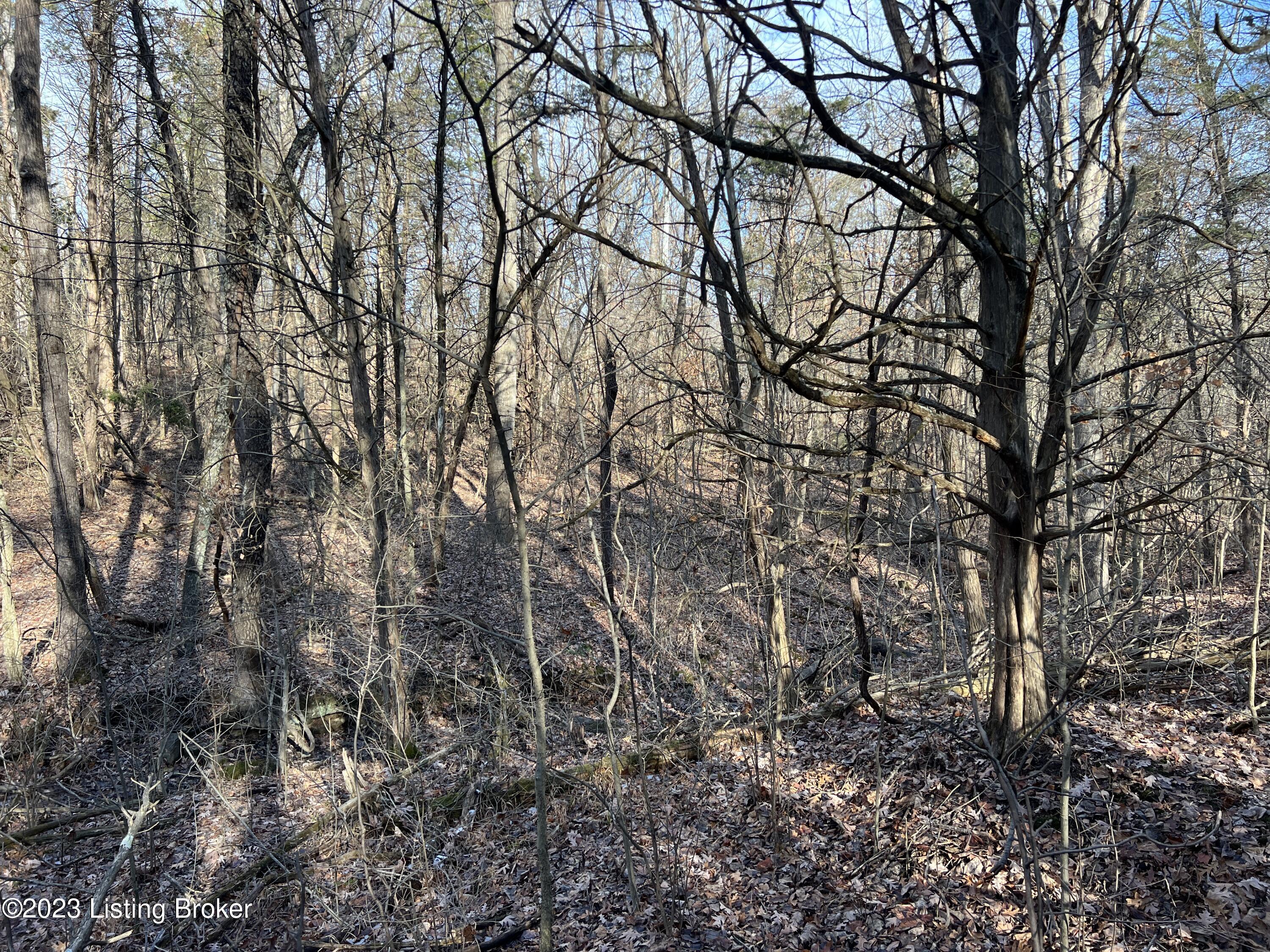 Lot 7B N Dogwood Estates St, Bedford, Kentucky image 4