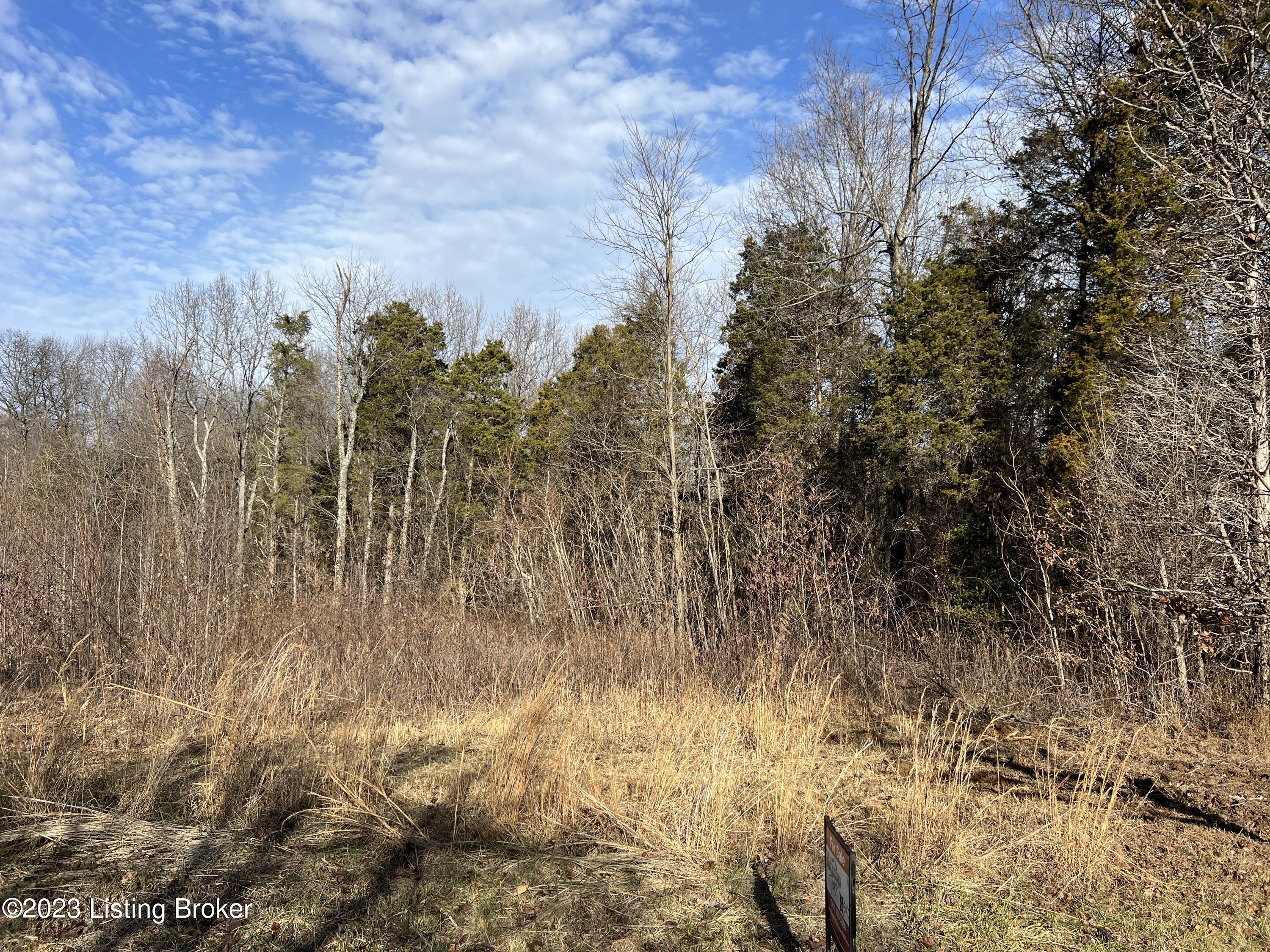 Lot 7B N Dogwood Estates St, Bedford, Kentucky image 1