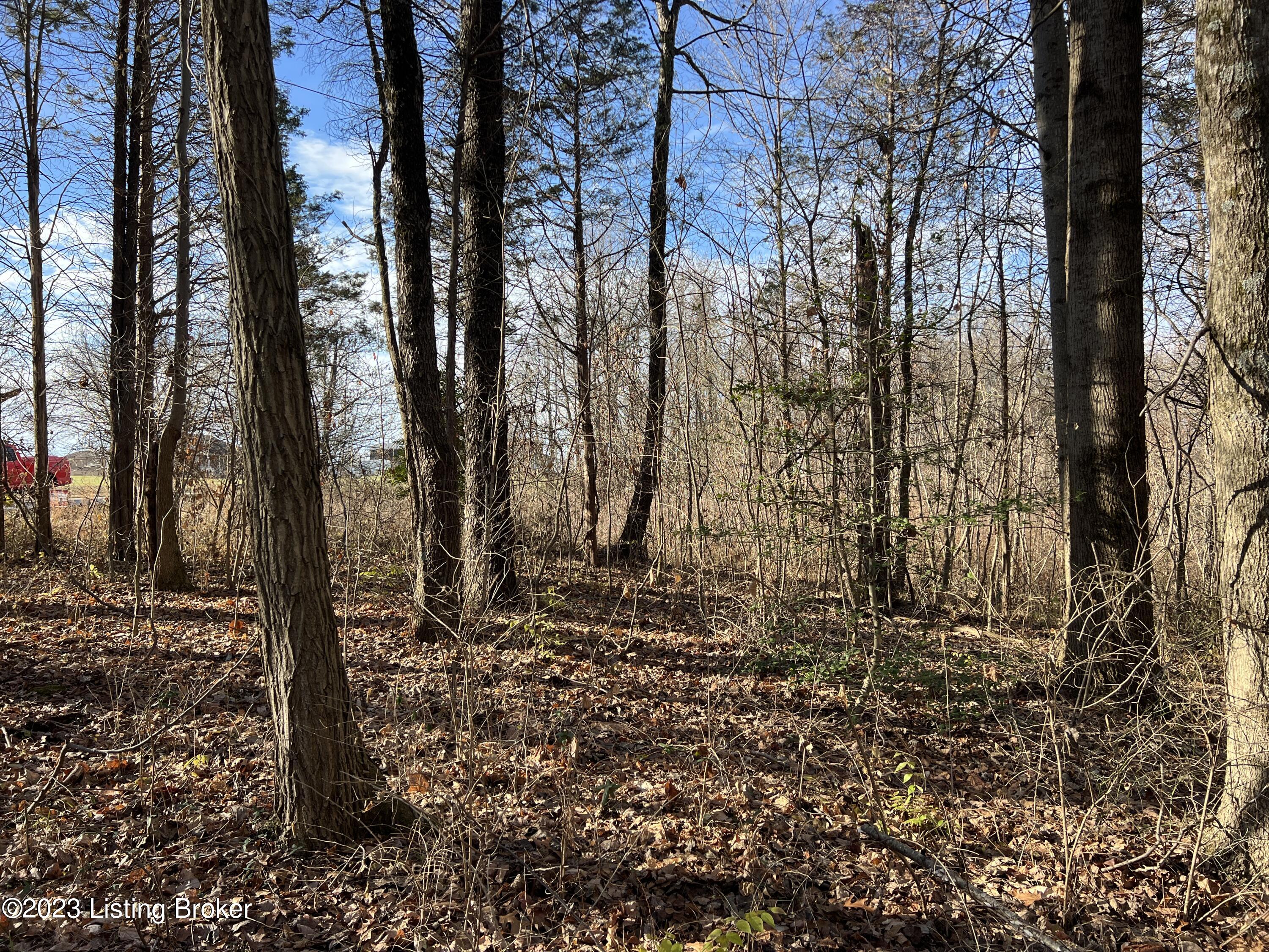 Lot 7B N Dogwood Estates St, Bedford, Kentucky image 6