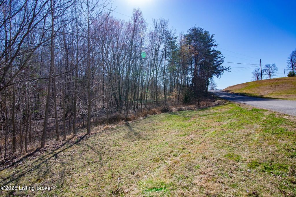Photo of 0 Icetown Rd, Boston, KY 40107 (MLS # 1712989)