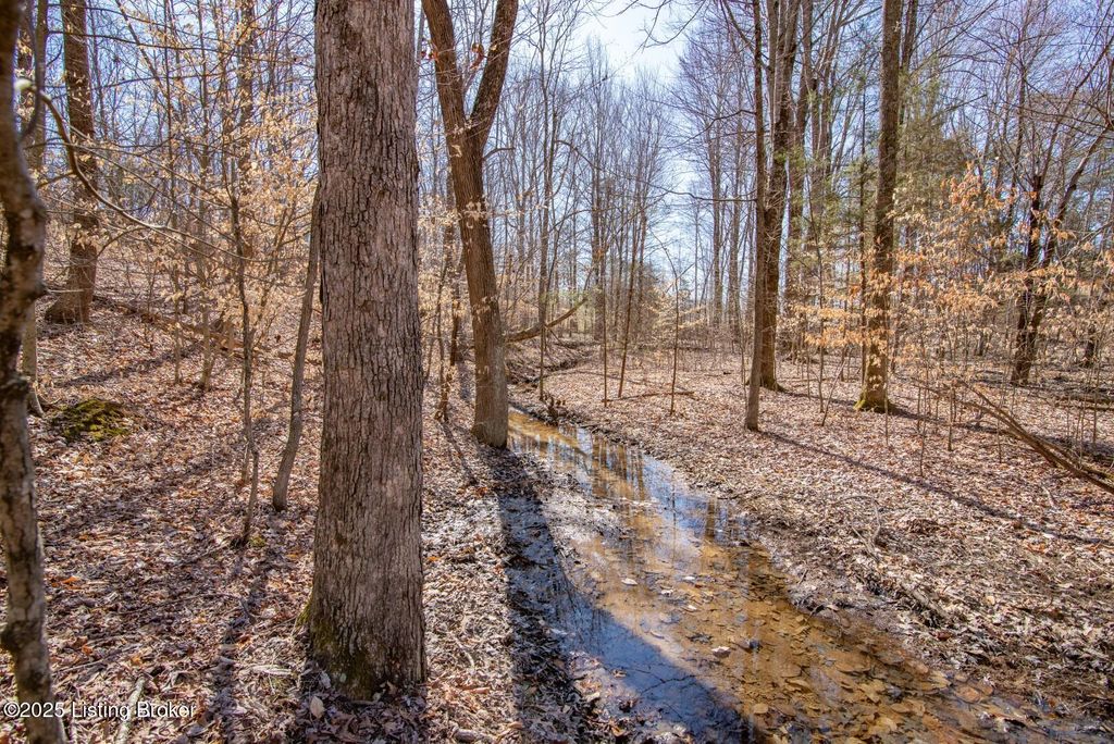 Photo of 0 Icetown Rd, Boston, KY 40107 (MLS # 1712989)