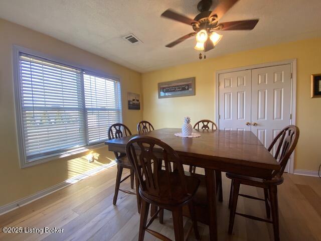 3848 Mobley Mill Rd, Coxs Creek, Kentucky image 8