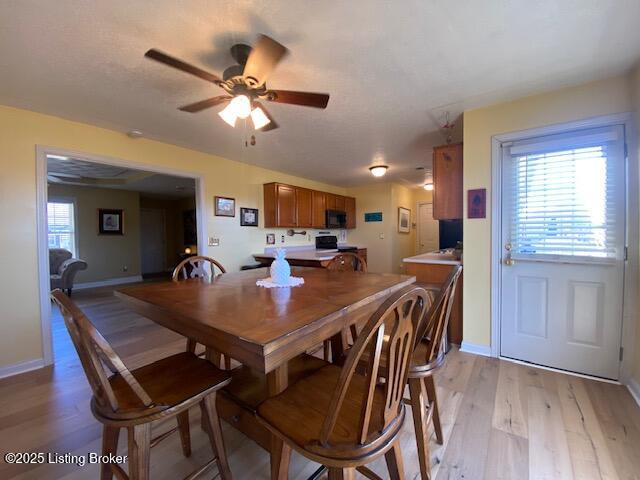 3848 Mobley Mill Rd, Coxs Creek, Kentucky image 9