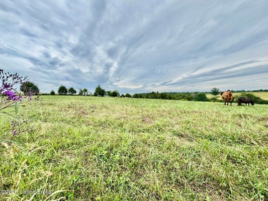 1070 LOGAN RD # 2, GRAVEL SWITCH, KY 40328 - Image 3d197e2fcec5a8f909c5ccc0fd70ba8e/4146681148