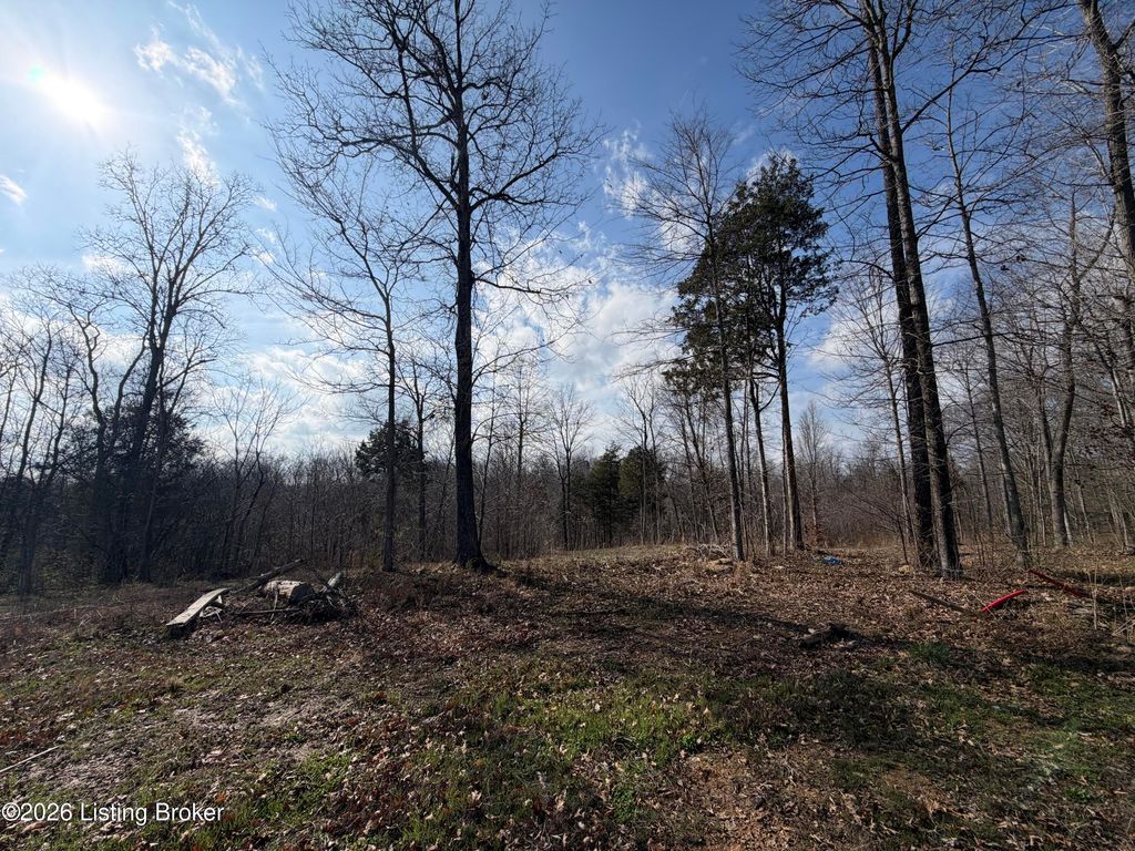 Photo of Lot. 27 Wood Creek Dr, Shepherdsville, KY 40165 (MLS # 1711383)