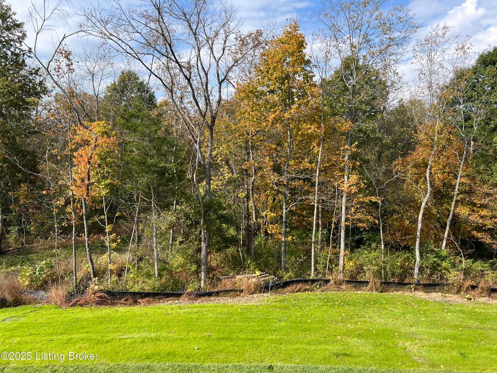 Photo of 17906 Shakes Creek Dr, Louisville, KY 40023 (MLS # 1701773)