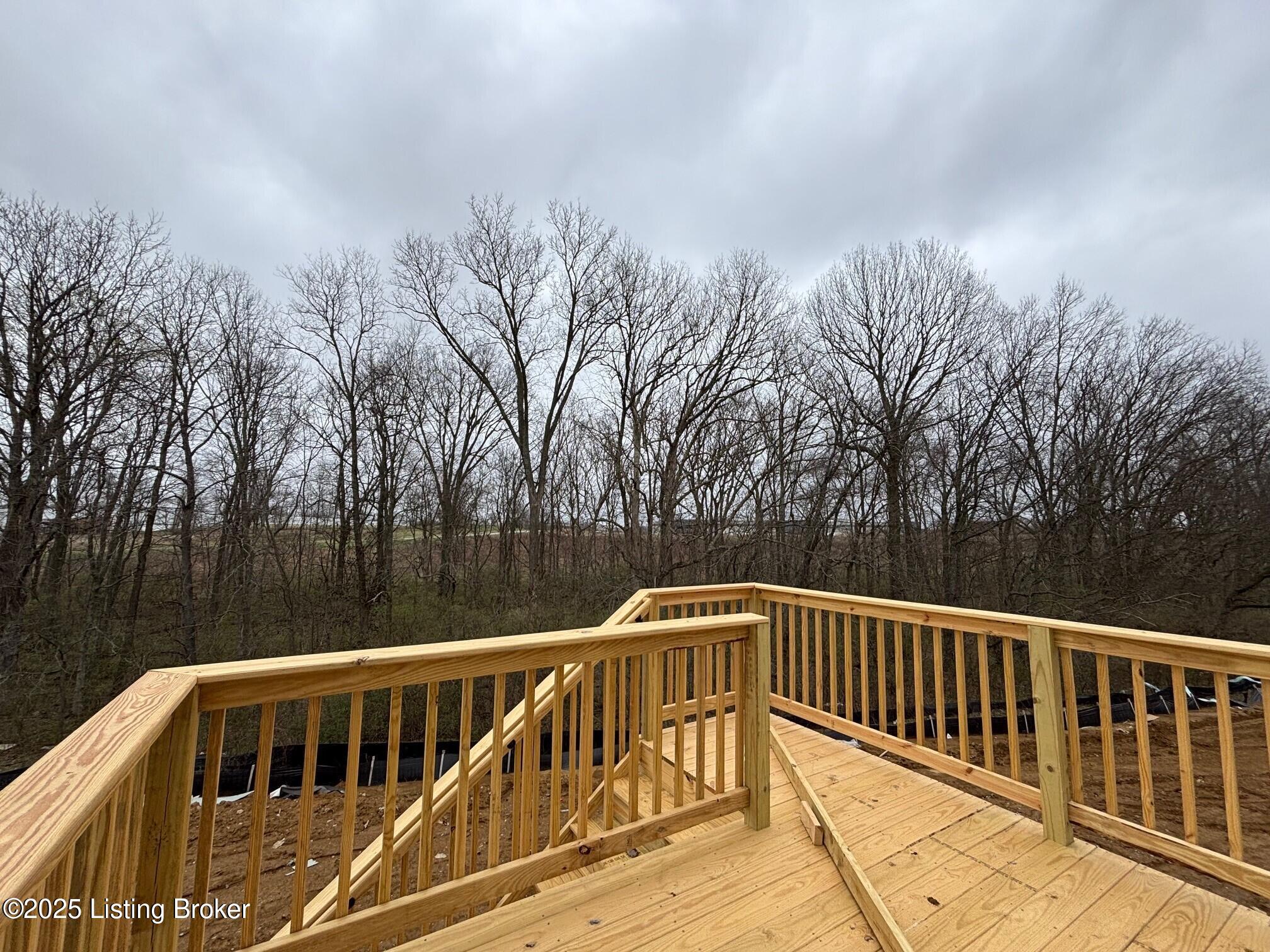 1004 Dry Run Ct, Shelbyville, Kentucky image 4