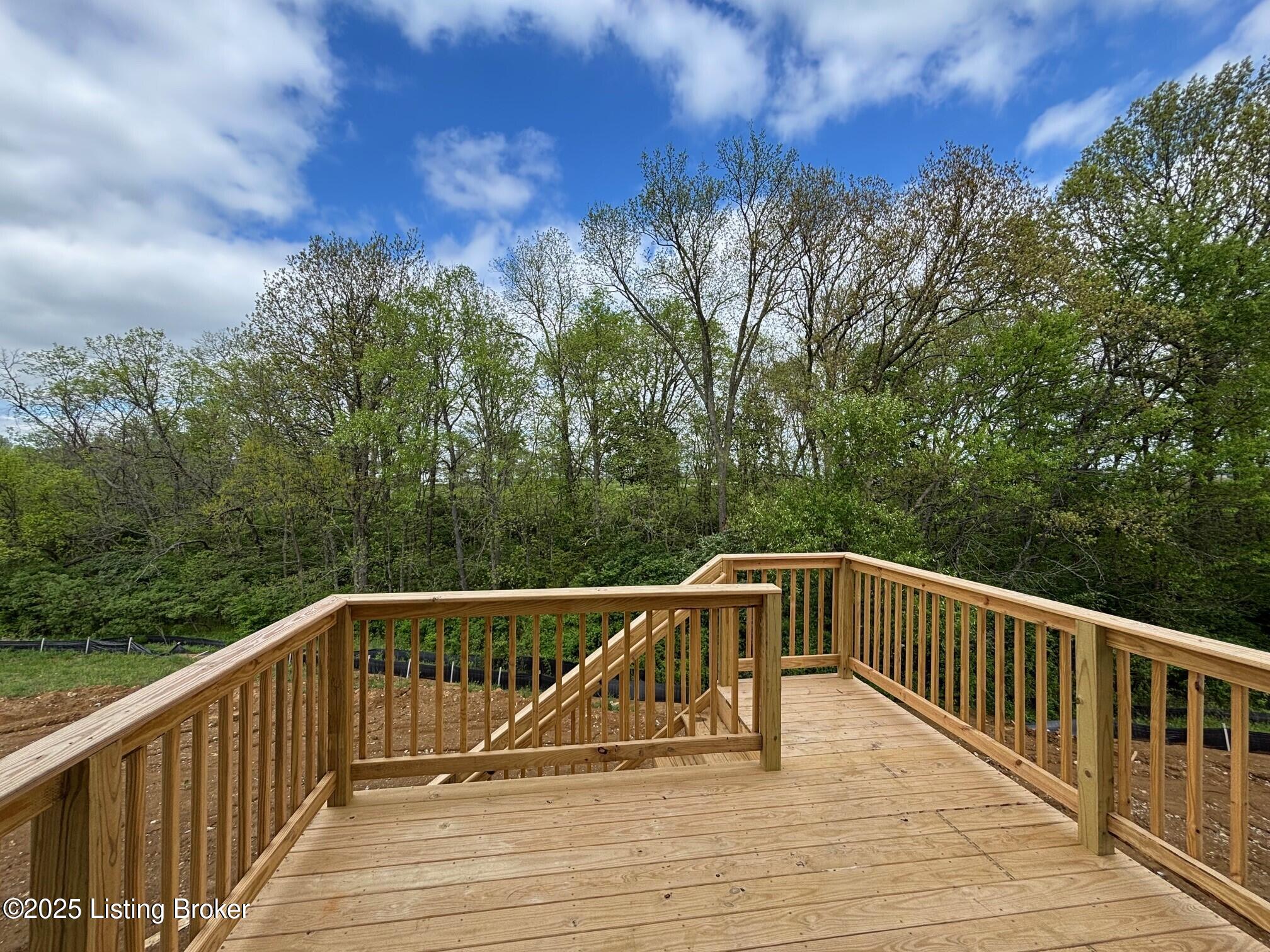 1004 Dry Run Ct, Shelbyville, Kentucky image 6