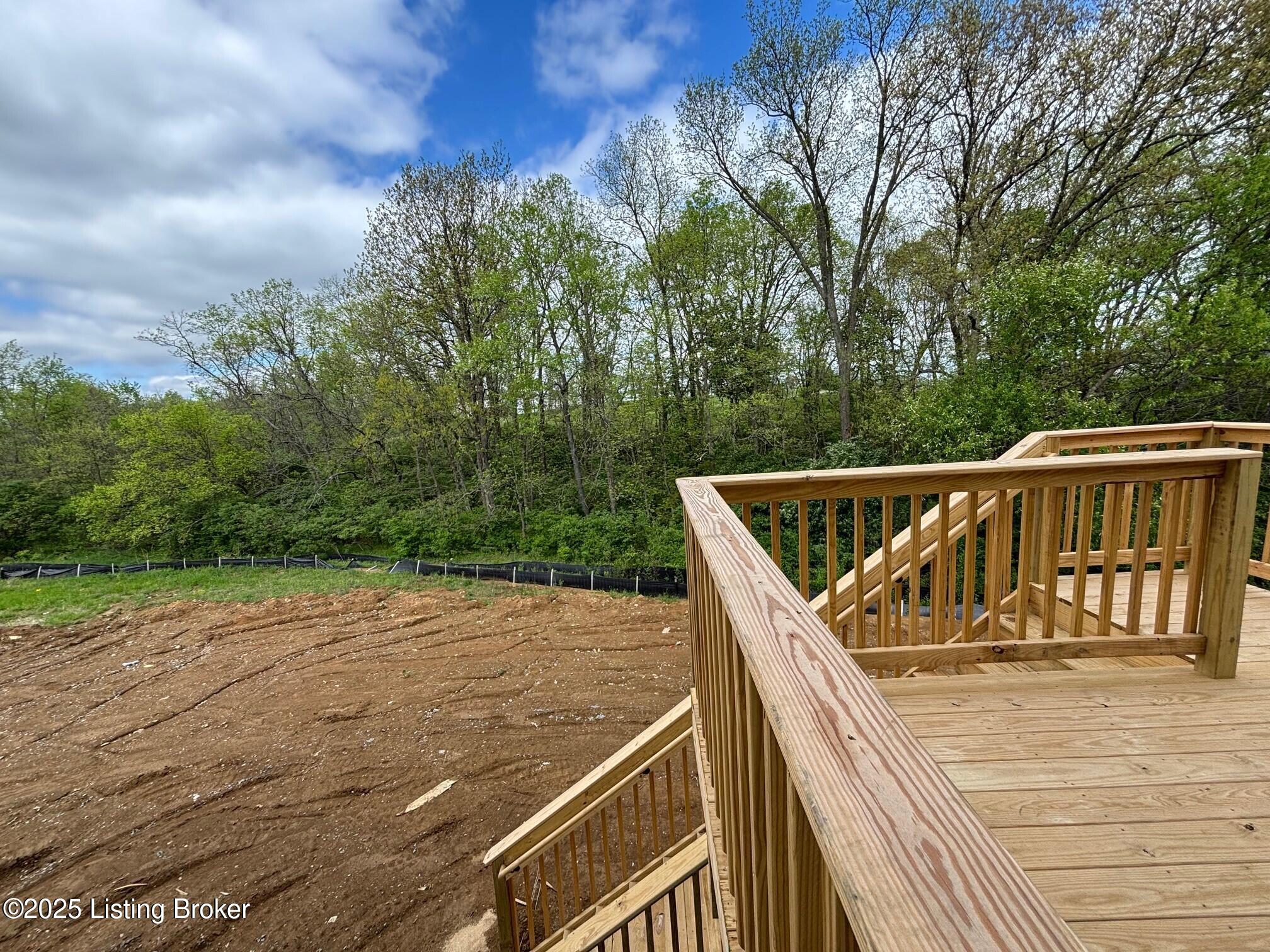 1004 Dry Run Ct, Shelbyville, Kentucky image 7