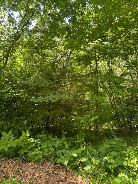 Vacant Land For Sale - 202 Lakeview Dr<br/> New Haven, KY 40051