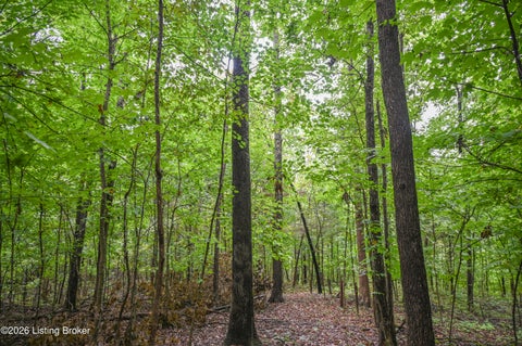 Tiny photo for 585 Tucker Higgs Rd, Hudson, KY 40145 (MLS # 1728990)