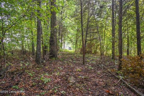 Tiny photo for 585 Tucker Higgs Rd, Hudson, KY 40145 (MLS # 1728990)
