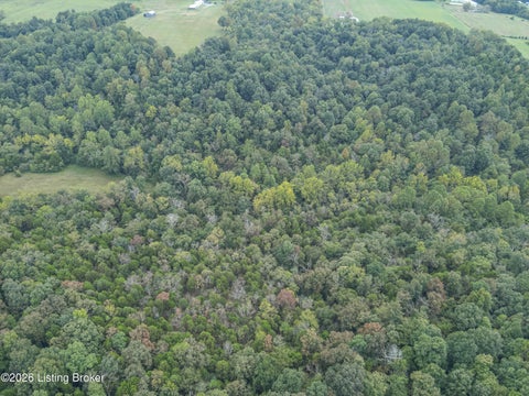 Tiny photo for 585 Tucker Higgs Rd, Hudson, KY 40145 (MLS # 1728990)