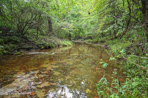 Tiny photo for 585 Tucker Higgs Rd, Hudson, KY 40145 (MLS # 1728990)