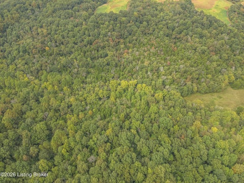 Tiny photo for 585 Tucker Higgs Rd, Hudson, KY 40145 (MLS # 1728990)