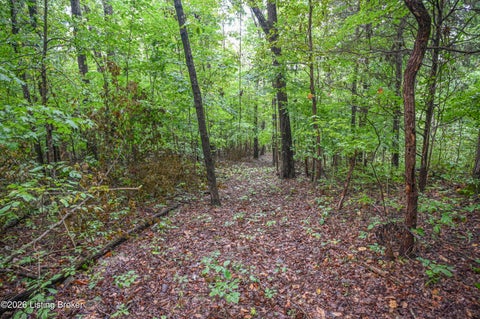 Tiny photo for 585 Tucker Higgs Rd, Hudson, KY 40145 (MLS # 1728990)