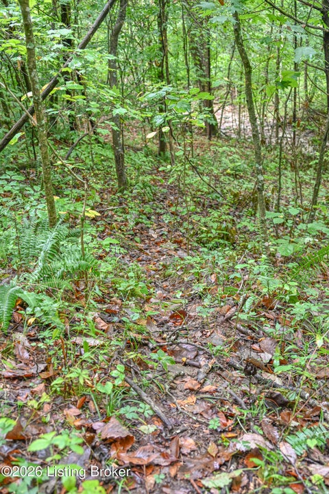 Tiny photo for 585 Tucker Higgs Rd, Hudson, KY 40145 (MLS # 1728990)