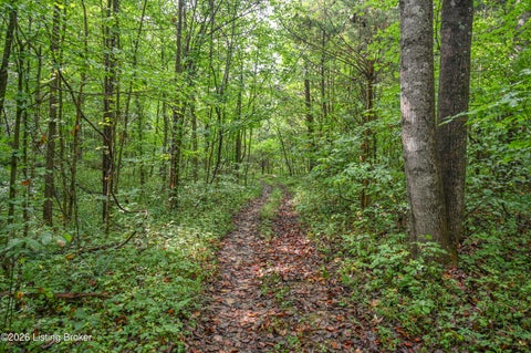 Tiny photo for 585 Tucker Higgs Rd, Hudson, KY 40145 (MLS # 1728990)