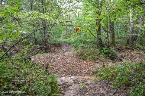 Tiny photo for 585 Tucker Higgs Rd, Hudson, KY 40145 (MLS # 1728990)